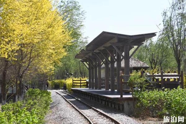 天津西青郊野公園可以燒烤嗎