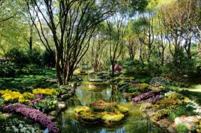 2020上海共青森林公园开放时间优惠政策及赏花攻略
