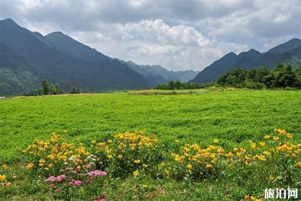 巫溪红池坝景区介绍 可以开车进去吗