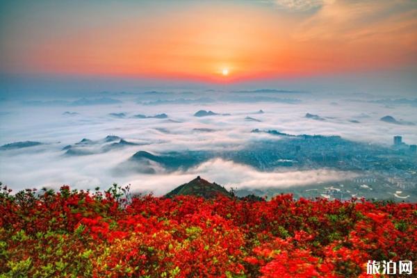 五一赏花旅游去哪好-旅游景点推荐