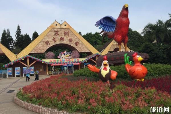 2020年五一深圳野生动物园门票优惠及游园路线推荐