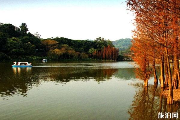 廣州麓湖公園開放時間 景點介紹