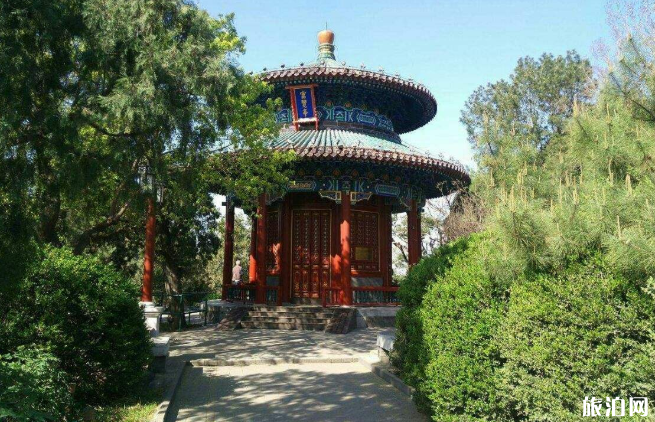 北京景山公园牡丹花开了吗-开放区域