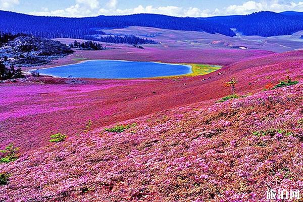 香格里拉最佳旅行時間及景點介紹