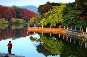 广州麓湖公园开放时间 景点介绍