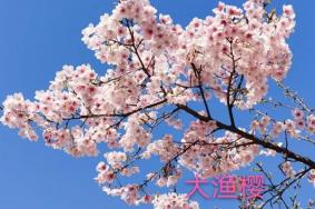 2020宁波植物园开门时间