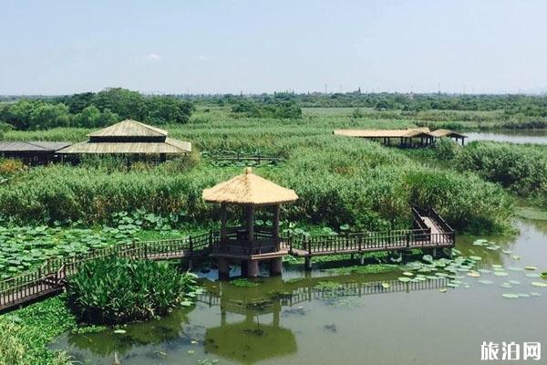 下渚湖国家湿地公园门票 开放时间
