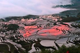 元阳哈尼梯田景区介绍及门票价格