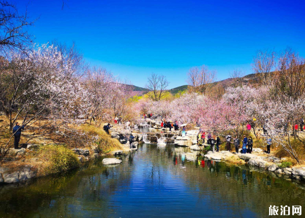 2020北京植物园实名预约时间及预约指南
