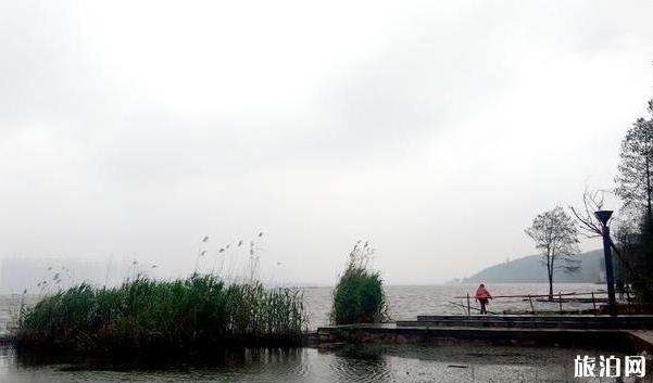 洪山區南湖游園綠道適合釣魚嗎