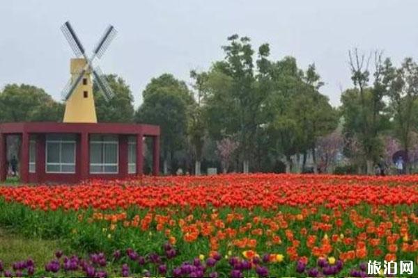 苏州中国花卉植物园什么时候去最好
