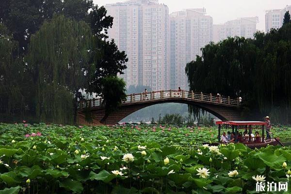 北京世园公园4月28日免费门票开放
