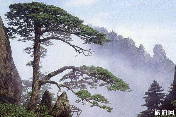 黄山风景区五一开放吗 时间-门票预约指南