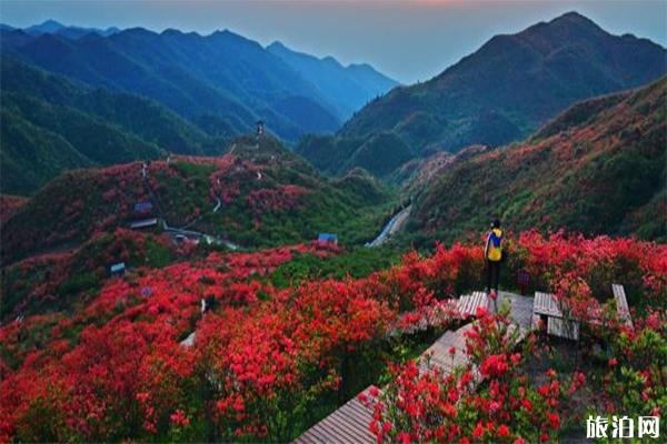 五一长沙自驾红色旅游线路推荐