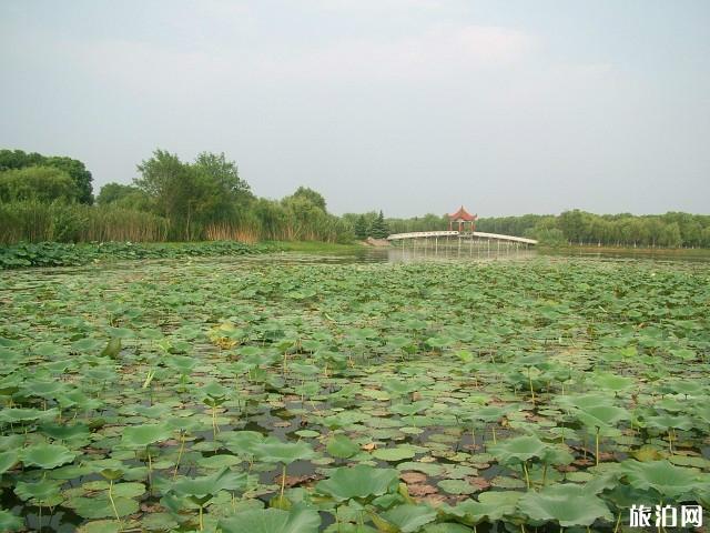 瞿家湾风景区游玩攻略