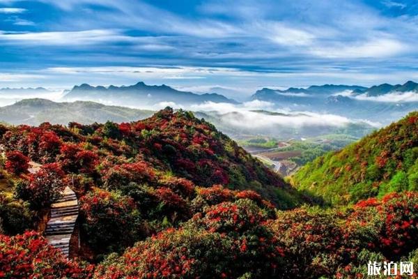 2020五一贵州景区预约流程及免费景点名单