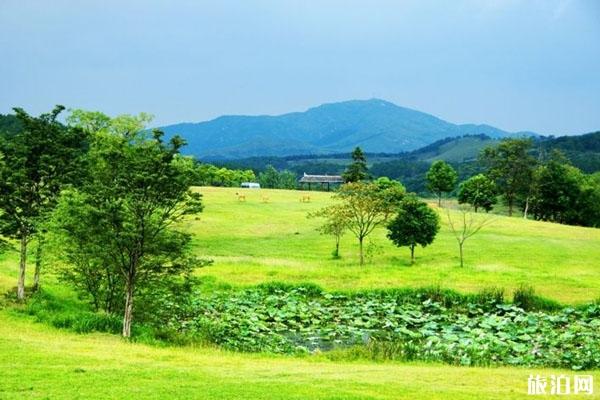 2020武漢木蘭草原門票預約指南