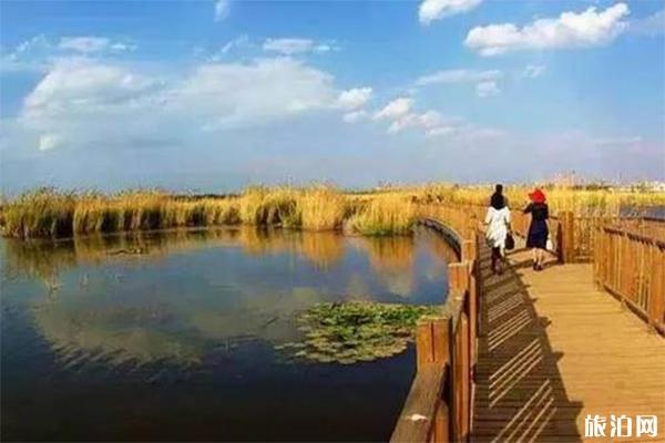 曲靖海峰湿地公园怎么去包车费用多少海峰湿地可以钓鱼吗