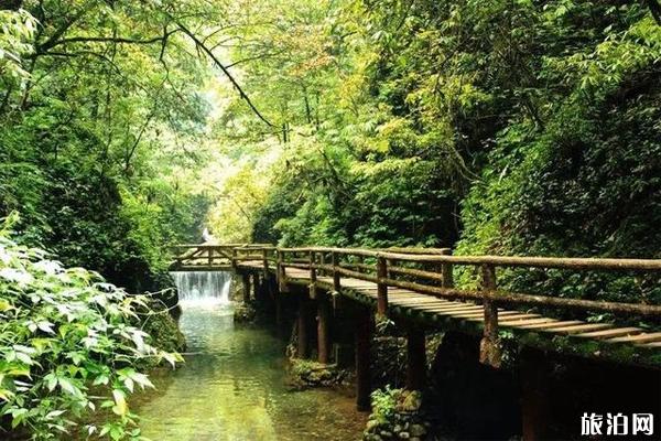 青城山后山门票多少钱 青城山后山攻略