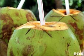 海南椰子多少钱一个 海南椰子怎么吃