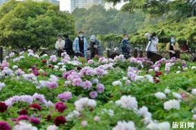 昆明百花公园在哪里 需要门票吗