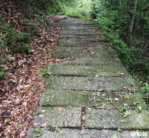 黄梅南山古道怎么走