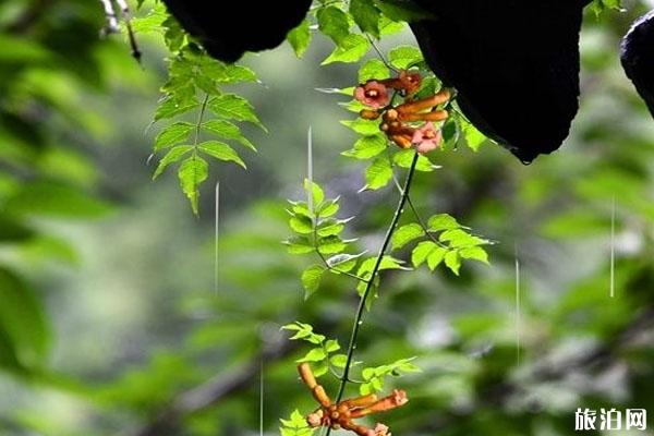 梅雨期长江中下游或出现较重汛情 需要注意什么