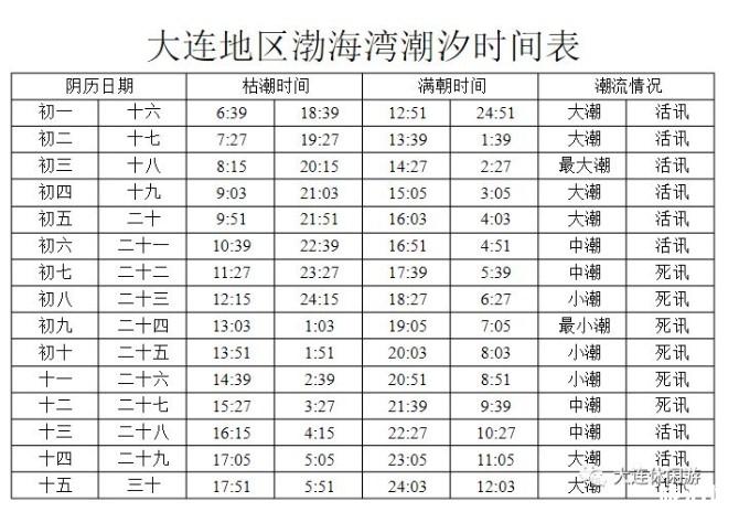 小拉樹房渤海樂園浴場趕海時間表