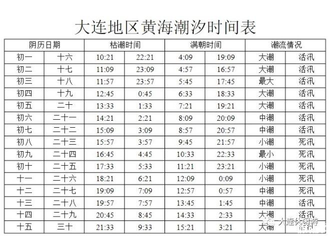 小拉樹房渤海樂園浴場趕海時間表