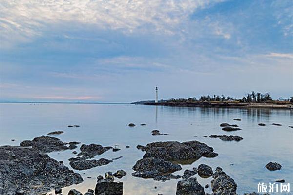 小拉樹房渤海樂園浴場趕海時間表