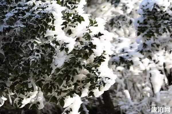 丰都雪玉山洞门票价格 营业时间-景区特色