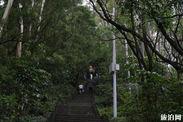 深圳南山公园可以停车吗和游玩攻略