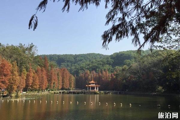 深圳仙湖植物園游玩攻略 深圳仙湖植物園預約攻略