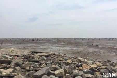 珠海赶海什么地方最好