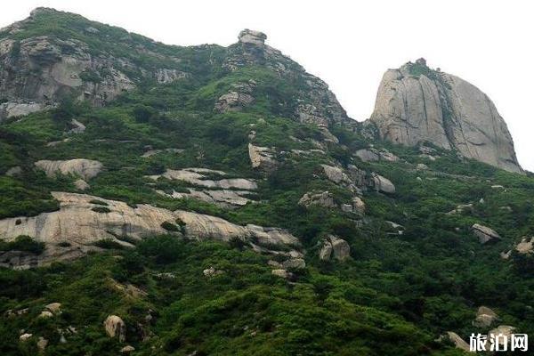 龙心大年夜飘山好玩吗 龙心大年夜飘山玩耍攻略