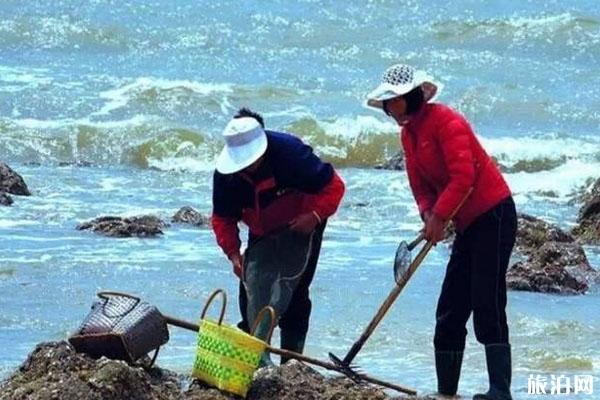 趕海是什么意思 漲潮去還是退潮去