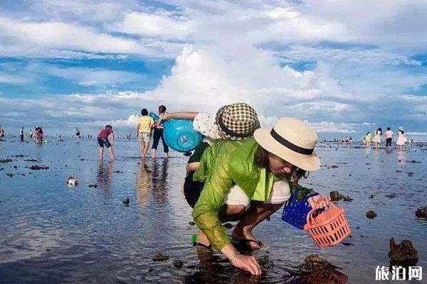 趕海是什么意思 漲潮去還是退潮去