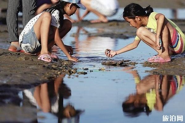 趕海是什么意思 漲潮去還是退潮去