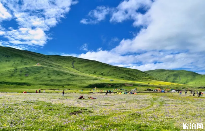 四川草原有哪些地方-游玩指南