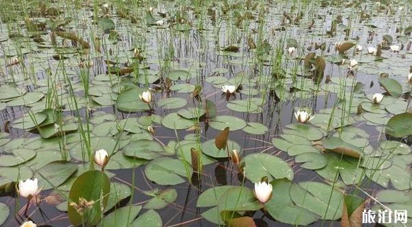 北京琉璃河濕地公園攻略