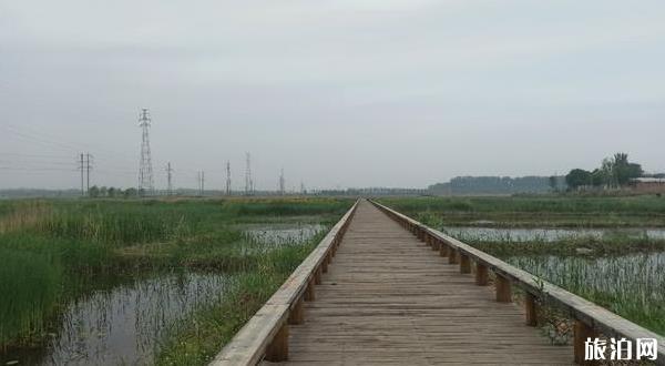 北京琉璃河濕地公園攻略