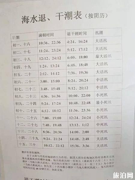 威海雙島西山村西海趕海收費(fèi)多少