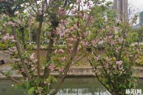 绵阳三台县龙潭溪旅游攻略
