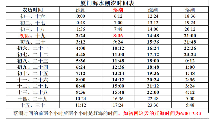 厦门赶海时间表2020