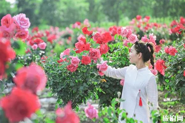 棗莊祥和莊園介紹 棗莊祥和莊園門票多少錢