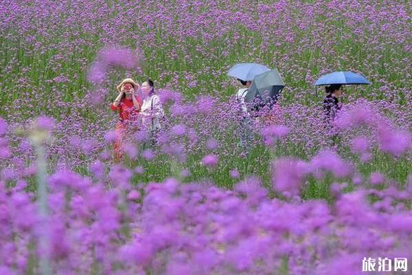 眉山中法农业科技园怎么走 眉山中法农业科技园好玩吗