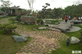 东莞植物园景点介绍 东莞植物园有什么好玩的