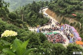 2020巴南石龙镇绣球花旅游节时间和地点 巴南石龙绣球花旅游节活动介绍