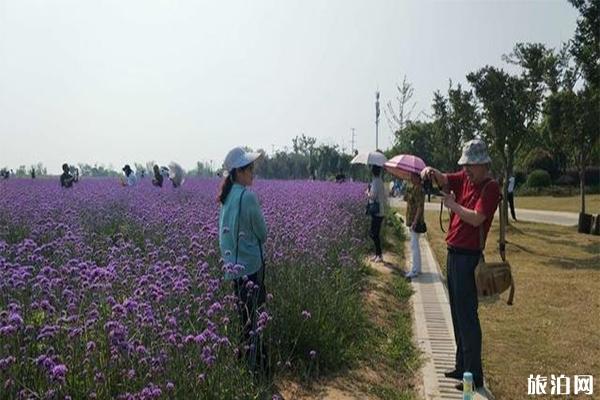 2022铜陵气象科普公园游玩攻略 - 交通天气 - 景点介绍