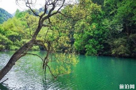 2023芜湖小格里自然风景区游玩攻略 - 门票住宿 - 景点介绍 - 地址 - 交通